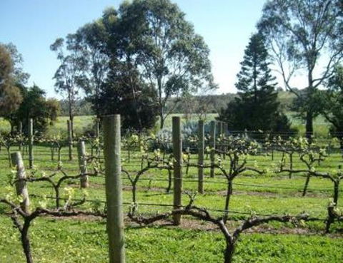 Southern Vales Bed & Breakfast - Foster Accommodation 1