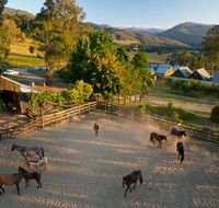 Spring Spur - Foster Accommodation