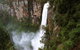 Springbrook Lyrebird Retreat - thumb 2
