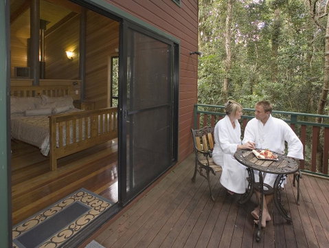 Springbrook Lyrebird Retreat - Foster Accommodation 3