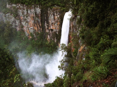 Springbrook Lyrebird Retreat - Foster Accommodation 2