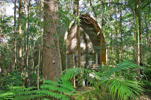 Springbrook Mountain Chalets - Foster Accommodation 0