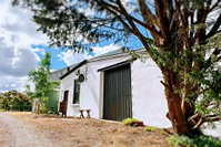 Springhill Winery