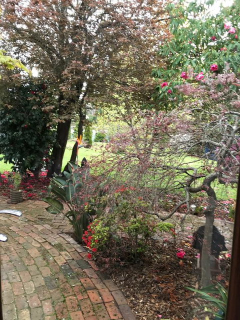 Stony Rise Cottage B&B - Foster Accommodation 1