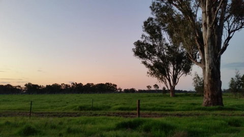 Sunset Villas Cobram - Foster Accommodation 3
