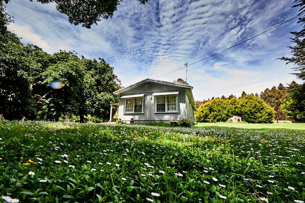 Roger River TAS Foster Accommodation