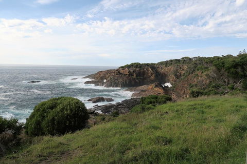 Tathra Hotel & Motel - Foster Accommodation 1