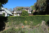 Ted and Stellas on Tamborine