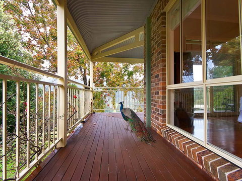 The Acreage Luxury B&B And Guesthouse - Foster Accommodation 1