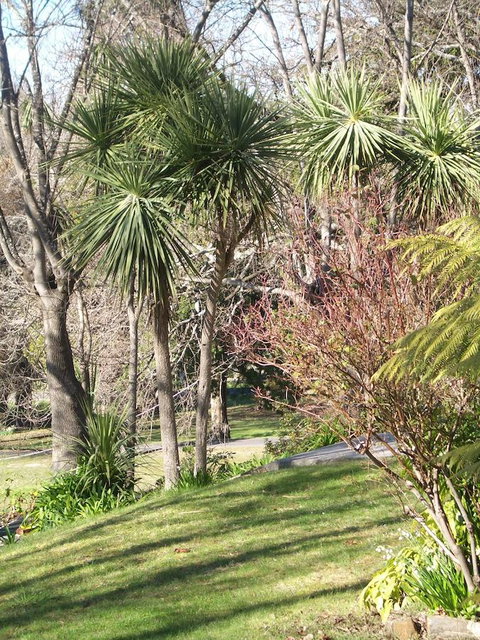 Lucinda B&B - Foster Accommodation 23