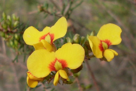 Three Beaches - Foster Accommodation 43