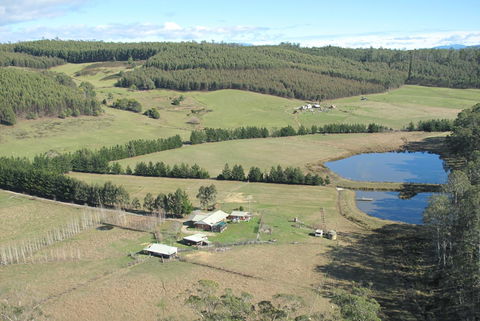 Quamby Pines Chalet - Foster Accommodation 7