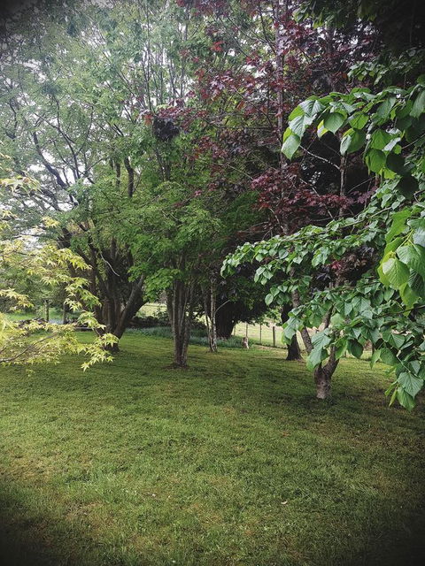 Whispering Hills Retreat - Foster Accommodation 14