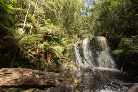 Strahan Village - Foster Accommodation 27