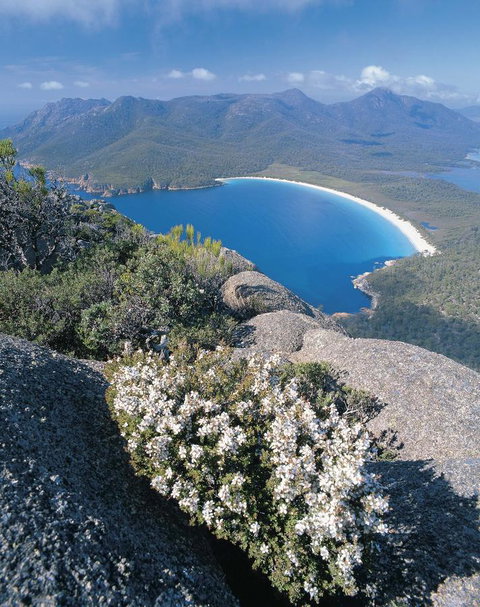 Freycinet Lodge - Foster Accommodation 41