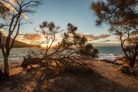 Freycinet Lodge - Foster Accommodation 44