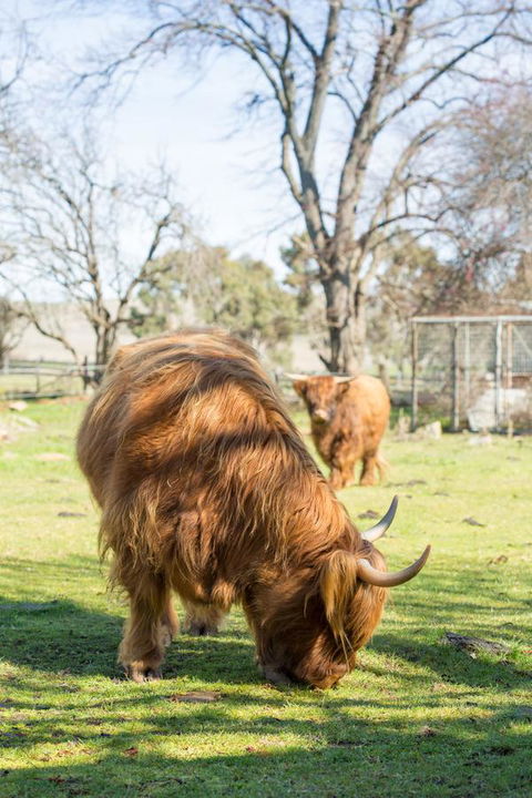 Ratho Farm - Foster Accommodation 4