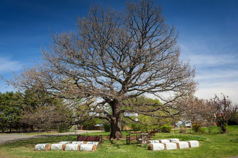 Ratho Farm - Foster Accommodation 8