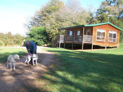 Drumreagh Cabins - Foster Accommodation 4