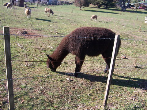 Drumreagh Cabins - Foster Accommodation 11