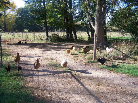 Drumreagh Cabins - Foster Accommodation 2
