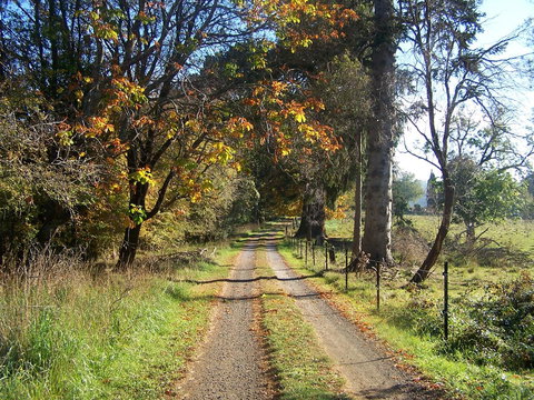 Drumreagh Cabins - Foster Accommodation 6