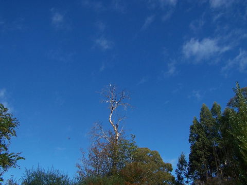 Drumreagh Cabins - Foster Accommodation 8
