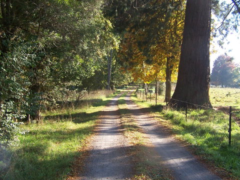 Drumreagh Cabins - Foster Accommodation 5
