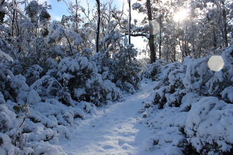 Cradle Mountain Hotel - Foster Accommodation 4