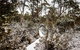 Cradle Mountain Hotel - thumb 6