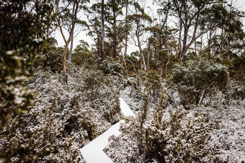 Cradle Mountain Hotel - Foster Accommodation 6