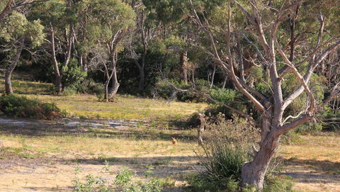 BAY OF FIRES SEACHANGE Ocean Frontage - Foster Accommodation 12