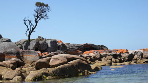 BAY OF FIRES SEACHANGE Ocean Frontage - Foster Accommodation 21