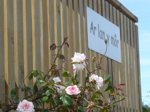 Ar Lan Y Mor - Foster Accommodation 12