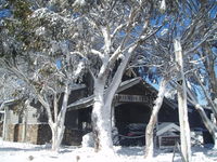 Book Dinner Plain Accommodation Vacations Foster Accommodation Foster Accommodation