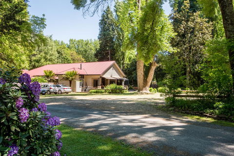 Avalon House - Foster Accommodation 16