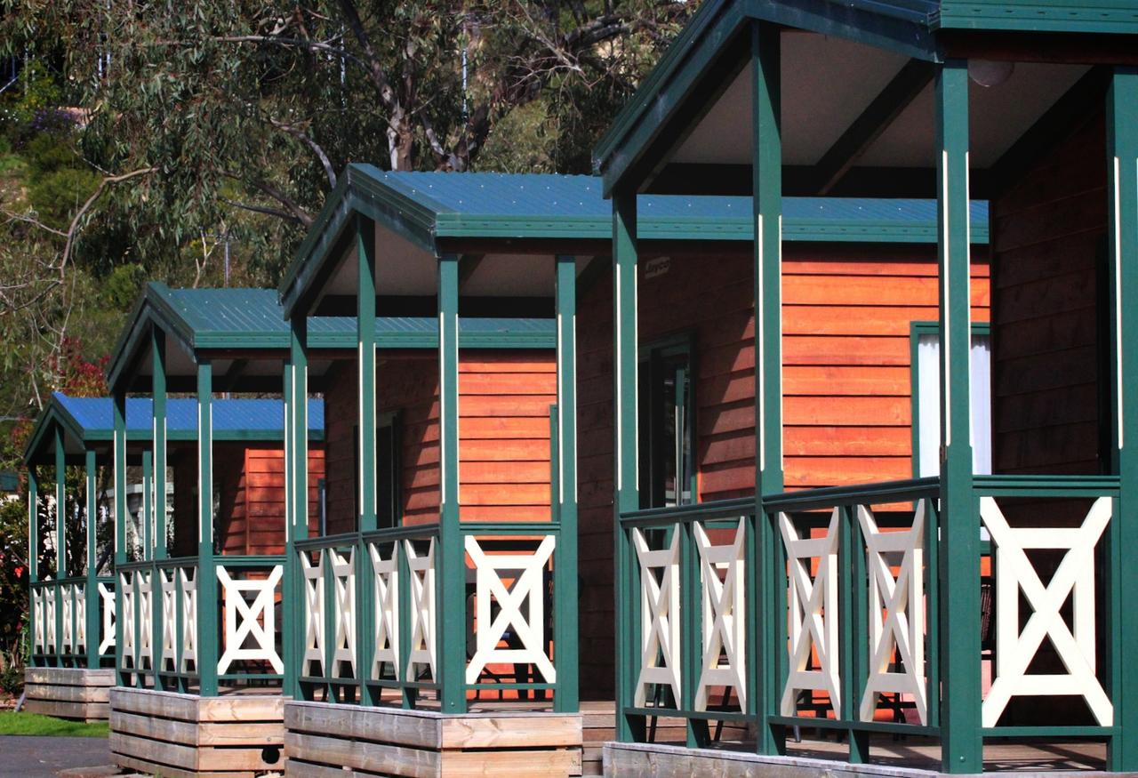 Belmont VIC Foster Accommodation