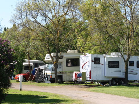 Tasman Holiday Parks - Geelong - Foster Accommodation 21