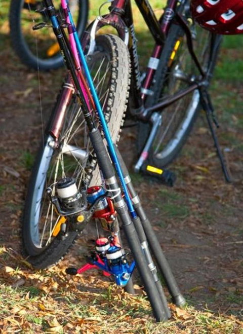 Marysville Caravan And Holiday Park - Foster Accommodation 29