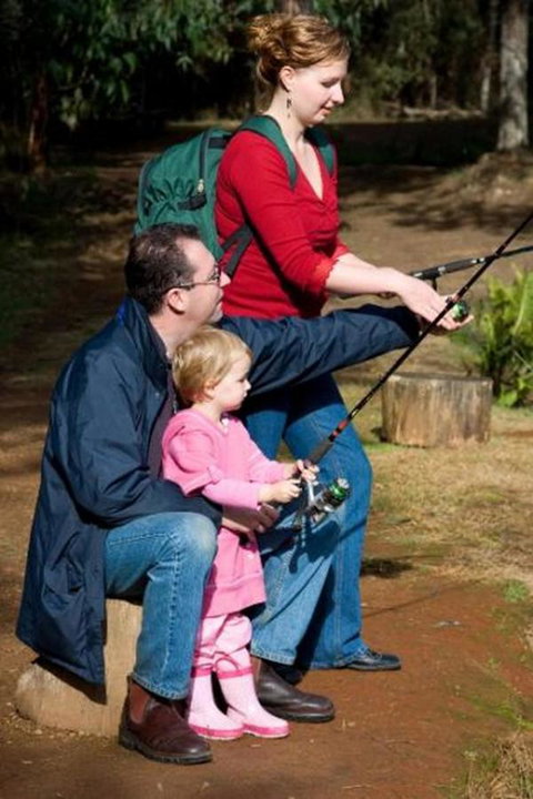 Marysville Caravan And Holiday Park - Foster Accommodation 22