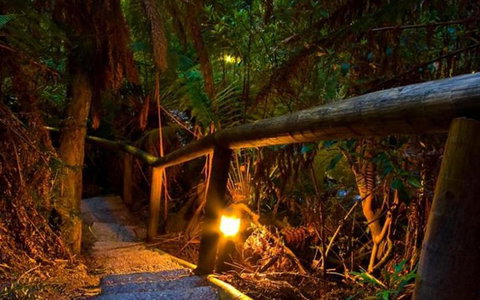 Marysville Caravan And Holiday Park - Foster Accommodation 27