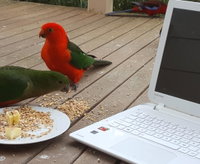 Book Foster Accommodation Vacations Foster Accommodation Foster Accommodation