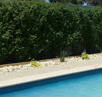 Robinvale Bridge Motel - Foster Accommodation