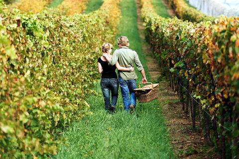 Goldfield Holiday Units - Foster Accommodation 33