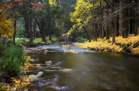 Goldfield Holiday Units - Foster Accommodation 0