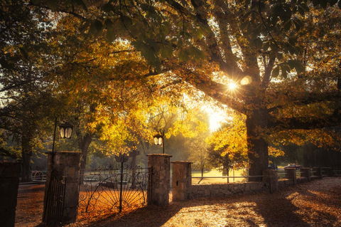 Goldfield Holiday Units - Foster Accommodation 20