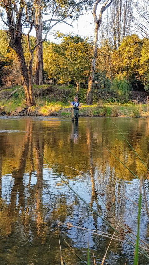 Goldfield Holiday Units - Foster Accommodation 21