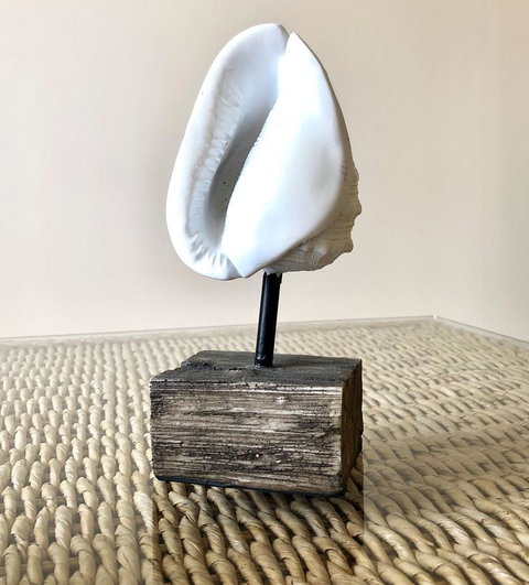 Sea Shells On Banyan Apartment - Foster Accommodation 9