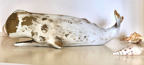 Sea Shells On Banyan Apartment - Foster Accommodation 4