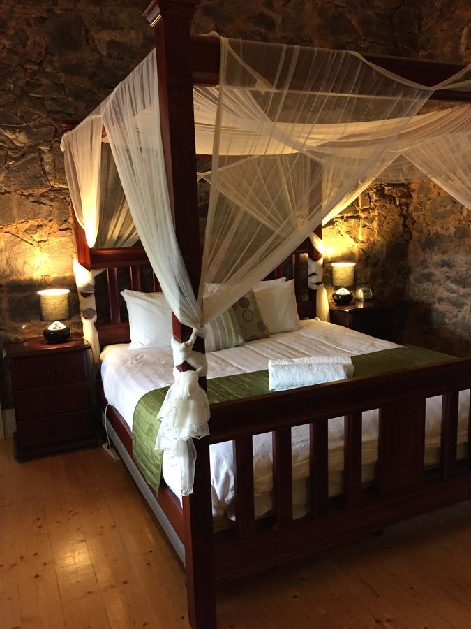  Foster Accommodation